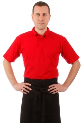 Футболка-поло мужская красная с коротким рукавом (Размер 52)
