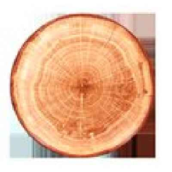 WDNNPR29TB Тарелка "Coupe" круглая d=29 см., плоская, фарфор,цвет красно-коричневый, WoodArt