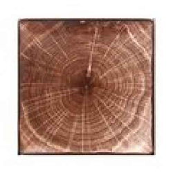 WDEDSQ30OB Тарелка квадратная,цвет темно-коричневый 30.2 см., плоская, фарфор, WoodArt