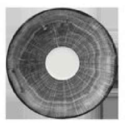 WDCLSA15BG Блюдце круг.серый d=15 см., для арт.WDCLCU23/WDCLCU20, фарфор, WoodArt