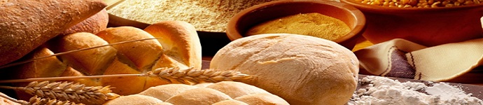Производство хлеба и булочных изделий в печи Forni Fiorini ROTOR (до 100кгчас)